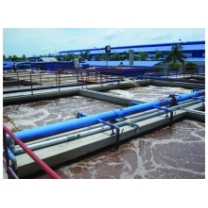Xử lý nước thải thủy sản - Xử Lý Chất Thải Thành Lập - Công Ty TNHH TM Xử Lý Môi Trường Thành Lập